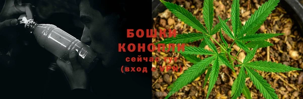 твердый Надым