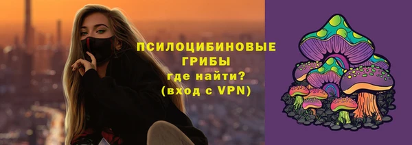 твердый Надым