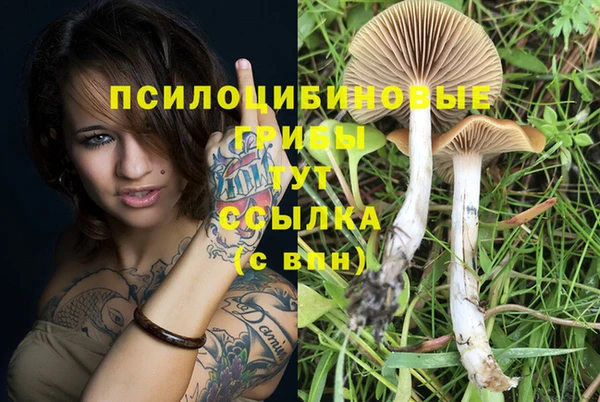 твердый Надым