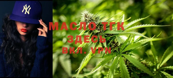 твердый Надым