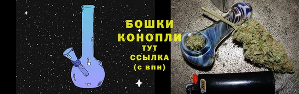 твердый Надым