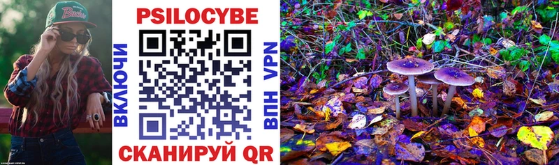 Галлюциногенные грибы ЛСД  магазин  наркотиков  darknet телеграм  Курск 