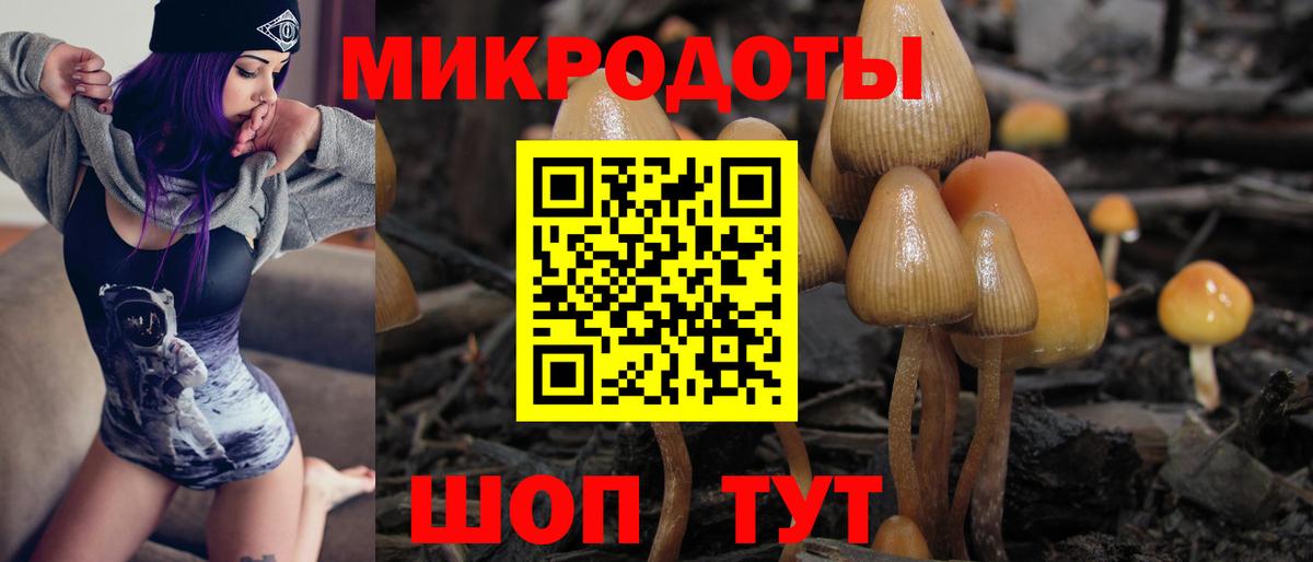Псилоцибиновые грибы прущие грибы Курск